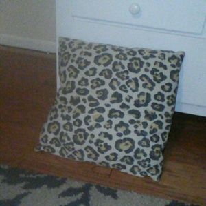 Chic Cheetah Pillow